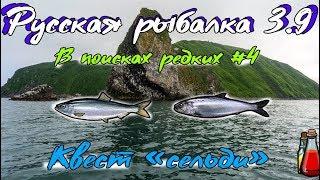 Русская рыбалка 3.9.  В поисках редких #4 Сельди.