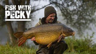 Low-stocked Big Carp Fishing | Extract