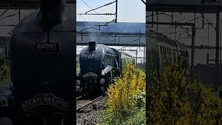 A4 Class Pacific 60007 "Sir Nigel Gresley" through Lichfield Trent Valley | Aerodynamic Steam Engine