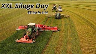 XXL Silage Day - 55ha in 3h | 13m KUHN Mower Conditioner | CLAAS Jaguar 960 | 13m Krone rake