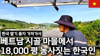 베트남에서 1년에 딸기 10톤 재배하는 한국인____________________해외판 [휴먼스토리, 직업의모든것, 인간극장]