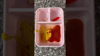 Packing School Lunch *SHE IS IN BIG TROUBLE, again…* #shorts