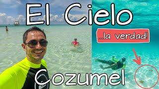 El Cielo Cozumel ⭐ Precio del Tour  ¿Dónde comprarlo más barato?  ¿Vale la pena? ...la verdad! 