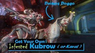 How to Get an Infested Kubrow or Kavat | Warframe