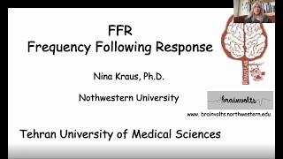 FFR: Frequency Following Response