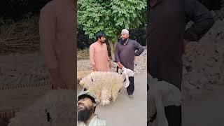 part 1 #funny