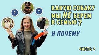 Я продолжаю выбирать собаку! Так какая порода собак лучше? Собака для семьи с ребенком.