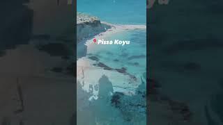 Pissa Koyu #ege #pissakoyu