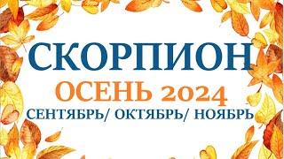 СКОРПИОН  ОСЕНЬ 2024 таро прогноз на сентябрь 2024/ октябрь 2024/ ноябрь 2024/ расклад “7 планет”