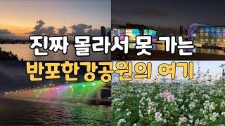 4k) 진짜 몰라서 못 가는 반포한강공원의 여기에 꼭 가보세요/ 메밀꽃명소/메밀꽃 저녁노을 야경 무지개분수쇼