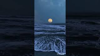  هیچ  خواننده. آهنگساز  جاوید عسگری