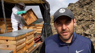 The Highs And Lows Of Beekeeping At The Heather!