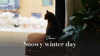 First snow in London | Keeping cosy, watching snowfall ️ [vlog]