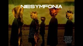 Kamil Kosecki - NIESYMFONIA