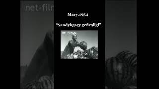 Mary welaýatynyň etraplarynyň 1954 ýyldaky oba hojalygy