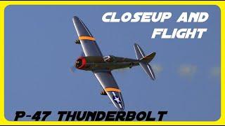 RC Plane Warbird P-47 Thunderbolt Closeup and flight