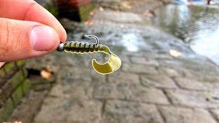 DRAIN FISHING with this lure!