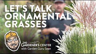 Let's Talk Ornamental Grasses  Garden Guru Sean at The Gardener's Center