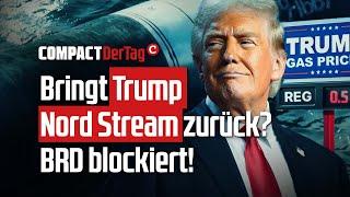 Bringt Trump Nord Stream zurück? BRD blockiert!