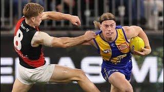 Harley Reid fend off highlights (2024)