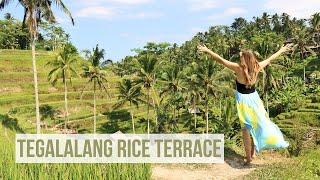 Tegalalang Rice Terrace | Ubud Bali Indonesia