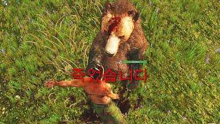 A survival game that's so relaxing ( steam game )