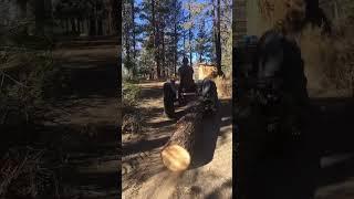 DIY Work Shop Build Hauling logs Running Sawmill