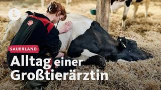 Ein Tag unterwegs mit der Großtierärztin | WDR Lokalzeit LandSchafft