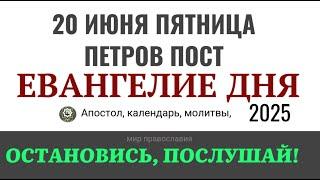 20 июня пятница Евангелие дня 2025 с толкованием #евангелие