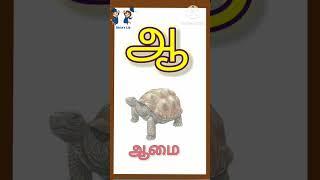 45. உயிர் எழுத்துக்கள் "ஆ" வரிசை சொற்கள் தமிழ்