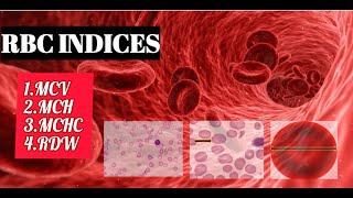 RBC INDICES || MCV, MCH, MCHC, RDW || MCQs