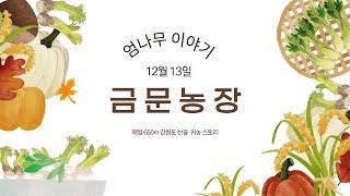 엄나무 키우는 금문농장입니다.