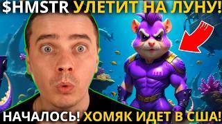 ️ ХОМЯК ИДЕТ В США ️ HAMSTER KOMBAT 🟢 ЭТОТ СЕЗОН БУДЕТ САМЫМ ДОХОДНЫМ! ЦЕНА $HMSTR УЛЕТИТ НА ЛУНУ!