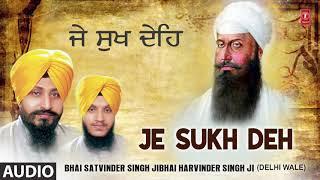 JE SUKH DEH | BHAI SATVINDER SINGH JI, BHAI HARVINDER SINGH JI | NIRGUN RAAKH LIYA