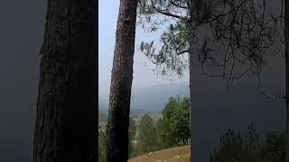 Beautiful place from my village  ll bisht & kuwarbi vlogs