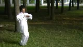 Xing Yi Quan: 5 Element Linking Fist