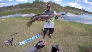 Toman Fishing Philippines ( Snakehead Fishing Philippines ) Monster Fish