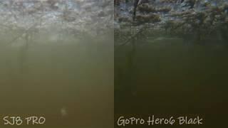 SJ8 PRO & GoPro Hero6 Black underwater test in 4K50p