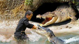 Dwarf Family Attacked by Crocodile in Water | Crocodile Attack Stories | Primitive Survival