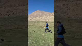 asmr running in the Himalayas #asmr #running #lehladakh #runshorts #run #nature #wildlife #himalayas