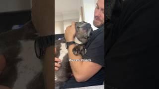 Some of the ways Tommy has changed since we got a skin puppy