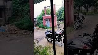 June Mein #trending #youtube #youtubeshorts #shortvideo #viral #shorts #short #reels #nature