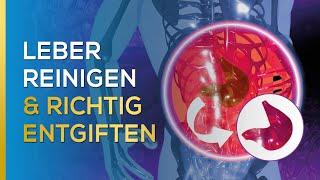 Deine Leber reinigen & richtig entgiften! (wirkt sofort) | Dr. Ulrich Bauhofer (Teil 3/3)