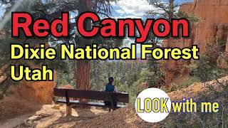 Hiking Red Canyon in Dixie National Forest | 4K