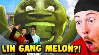 WHAT IS LIN GANG MELON?! (Funny Memes)