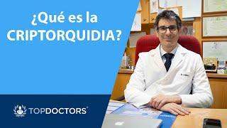 ¿Qué es la criptorquidia? - Dr. Daniel Cabezalí (1/4) | Top Doctors