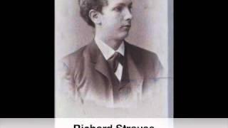 Richard Strauss: Serenade for 13 wind Instruments op.7