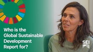 Who is the Global Sustainable Development Report for?