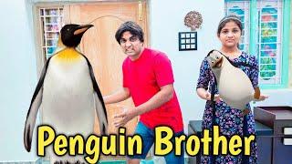 Penguin Brother  | comedy video | funny video | Prabhu sarala lifestyle