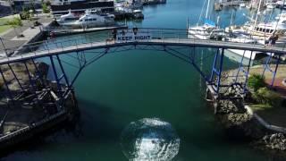 Back flipping the Picton harbour bridge